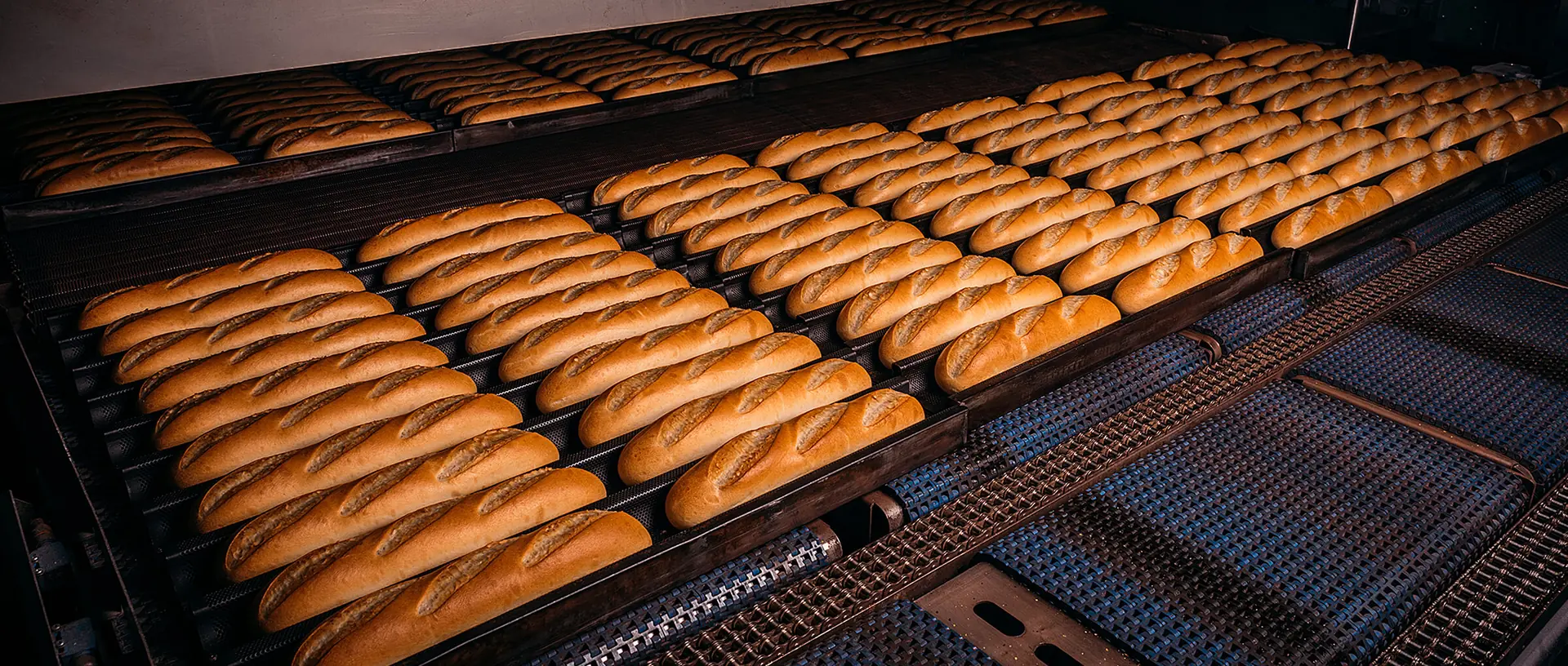 Automatizovaná výrobná linka s bagetami v závode Pierre Baguette